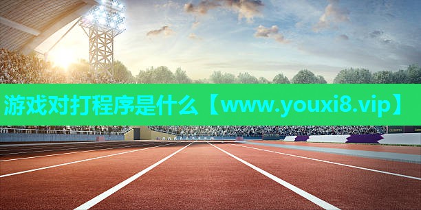 游戏对打程序是什么