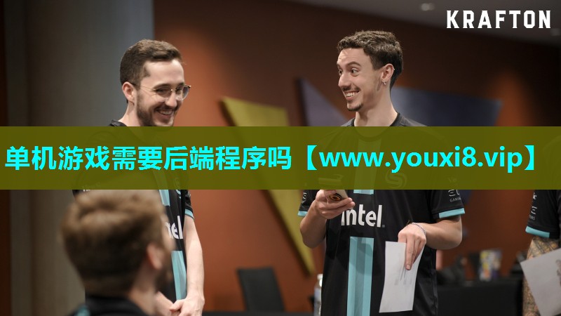 单机游戏需要后端程序吗